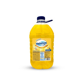 detergente-valenca-neutro-5lt